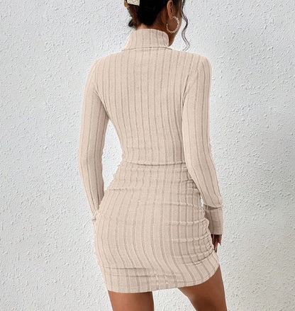 Elegant Turtleneck Mini Dress - Sexy & Stylish