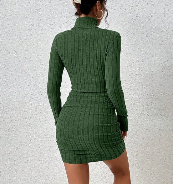 Elegant Turtleneck Mini Dress - Sexy & Stylish