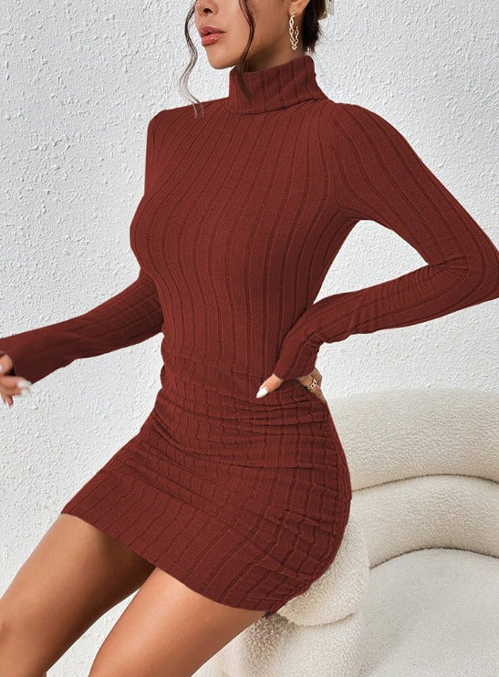 Elegant Turtleneck Mini Dress - Sexy & Stylish