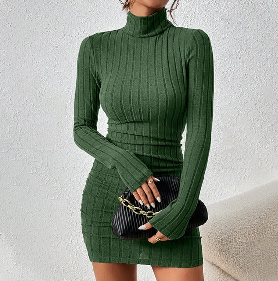 Elegant Turtleneck Mini Dress - Sexy & Stylish