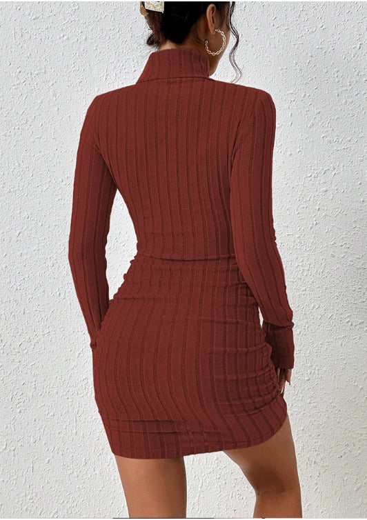 Elegant Turtleneck Mini Dress - Sexy & Stylish